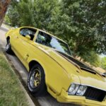 What Are the Key Differences Between a Full Service Car Wash and a Mobile Detailing Package